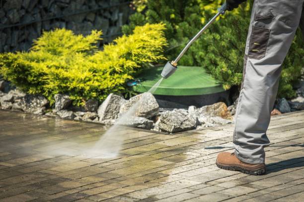 Best Fence Cleaning  in Croswell, MI