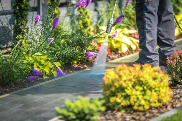 Best Spring Cleaning  in Croswell, MI