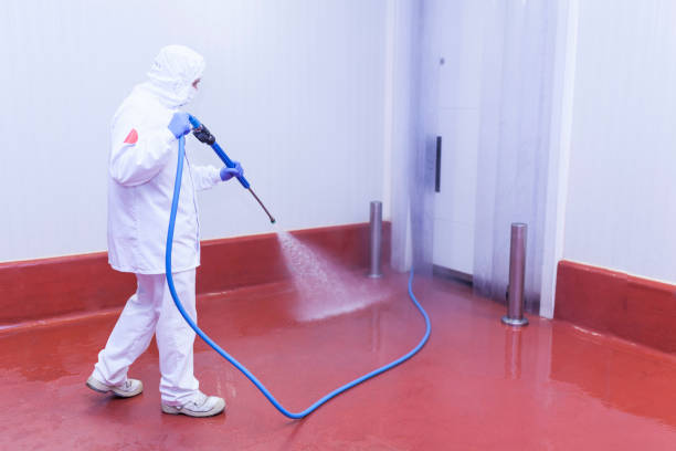 Best Restaurant Pressure Washing  in Croswell, MI