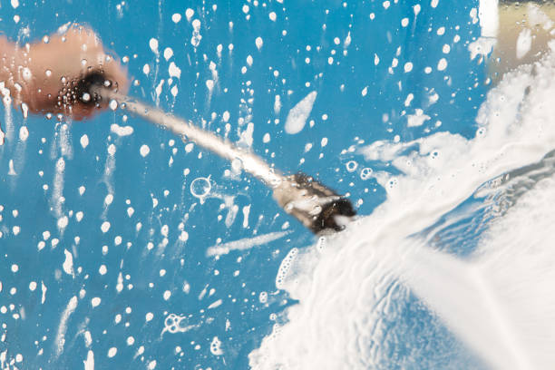 Best Dumpster Area Cleaning  in Croswell, MI