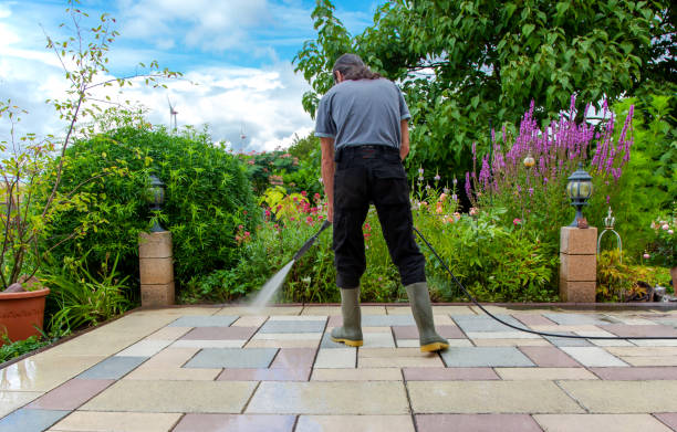 Best Patio and Deck Pressure Washing  in Croswell, MI